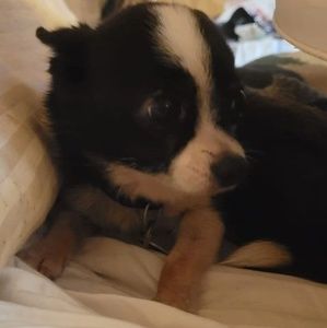 Meet your Posher, Sherry